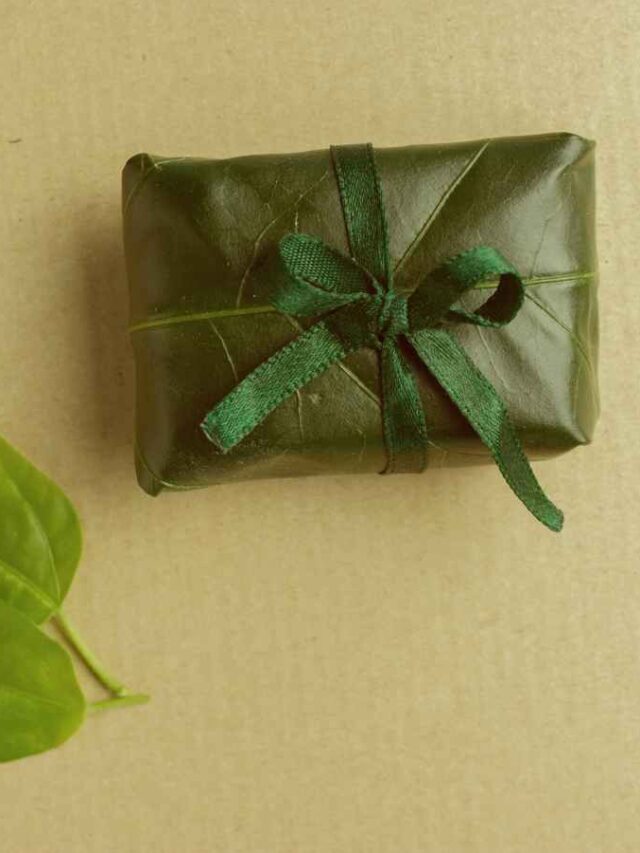 Brindes Ecológicos: Sustentabilidade e Inovação para sua Marca!